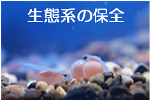 熱帯魚 買取｜日本自然環境保守協会の業務